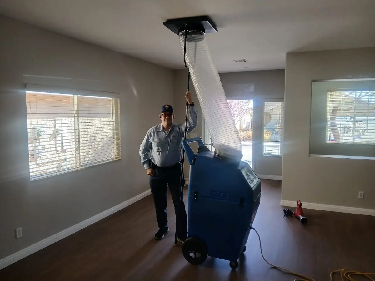 Professional Dryer Vent Cleaning work inside a Lansing home